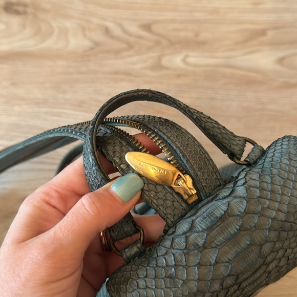 Real python snake 100% almost new - Picture 6 of 10